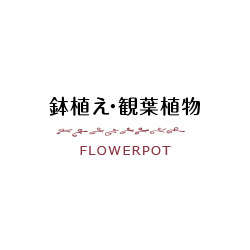 鉢植え・観葉植物 FLOWERPOT